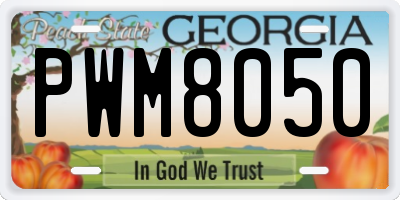 GA license plate PWM8050