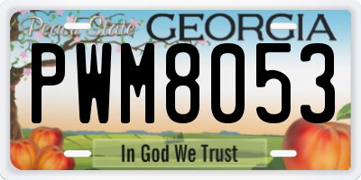 GA license plate PWM8053