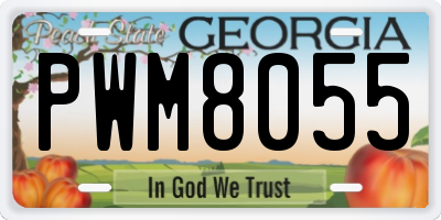 GA license plate PWM8055