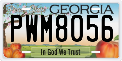 GA license plate PWM8056