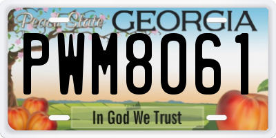 GA license plate PWM8061
