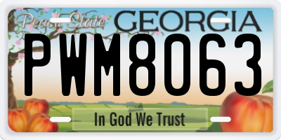 GA license plate PWM8063