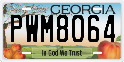 GA license plate PWM8064