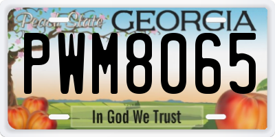 GA license plate PWM8065