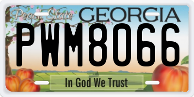 GA license plate PWM8066