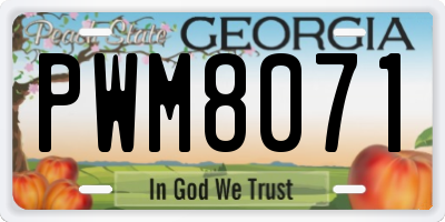 GA license plate PWM8071
