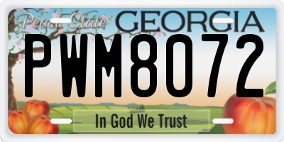 GA license plate PWM8072