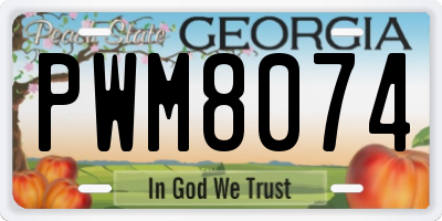 GA license plate PWM8074