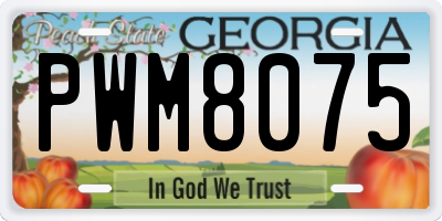 GA license plate PWM8075