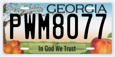 GA license plate PWM8077