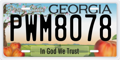 GA license plate PWM8078