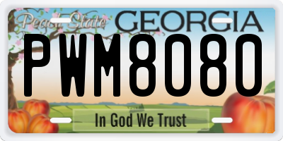 GA license plate PWM8080
