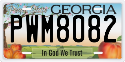 GA license plate PWM8082