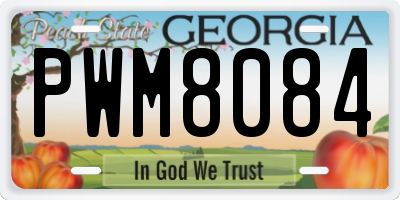 GA license plate PWM8084
