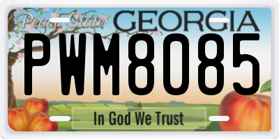 GA license plate PWM8085