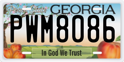 GA license plate PWM8086