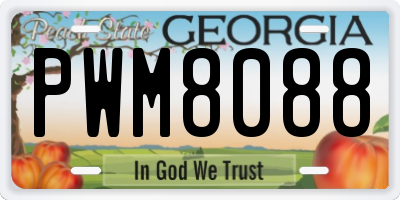 GA license plate PWM8088