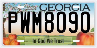 GA license plate PWM8090