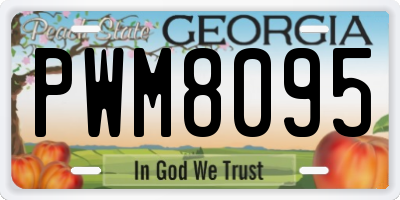 GA license plate PWM8095