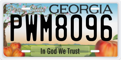 GA license plate PWM8096