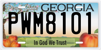 GA license plate PWM8101