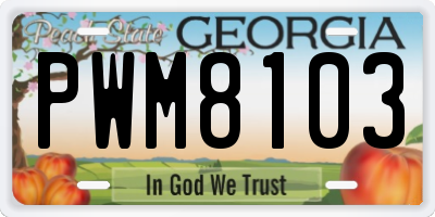 GA license plate PWM8103