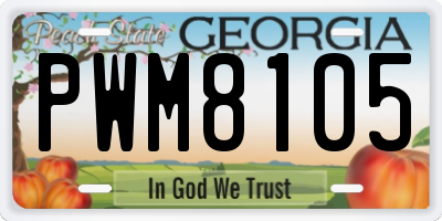 GA license plate PWM8105