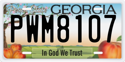 GA license plate PWM8107