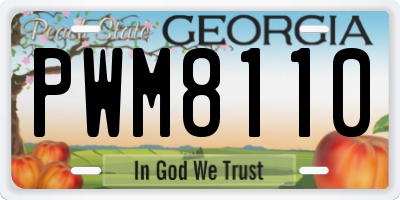 GA license plate PWM8110