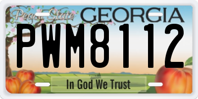 GA license plate PWM8112