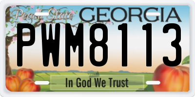 GA license plate PWM8113