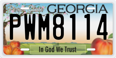 GA license plate PWM8114