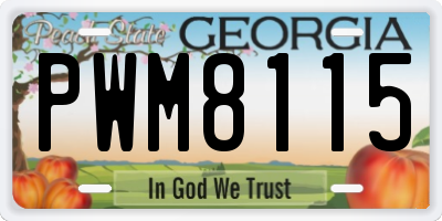 GA license plate PWM8115