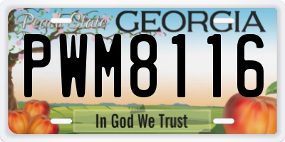 GA license plate PWM8116