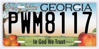 GA license plate PWM8117