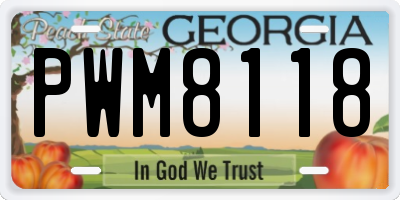 GA license plate PWM8118