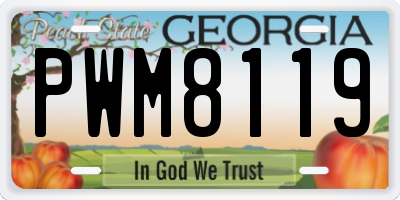 GA license plate PWM8119