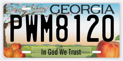 GA license plate PWM8120