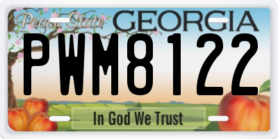 GA license plate PWM8122