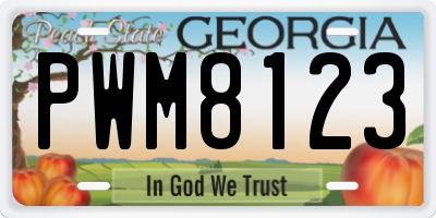 GA license plate PWM8123