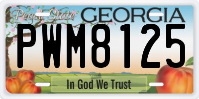 GA license plate PWM8125