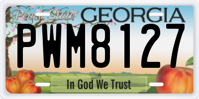 GA license plate PWM8127