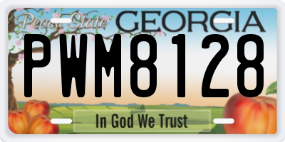 GA license plate PWM8128