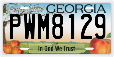 GA license plate PWM8129