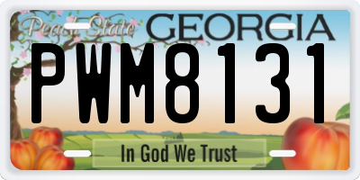 GA license plate PWM8131