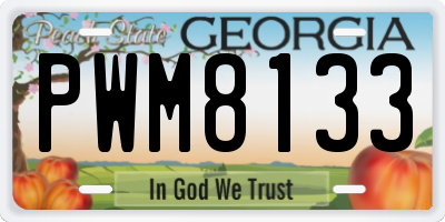 GA license plate PWM8133