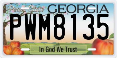 GA license plate PWM8135