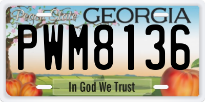 GA license plate PWM8136