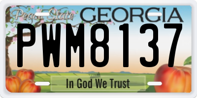 GA license plate PWM8137