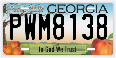 GA license plate PWM8138